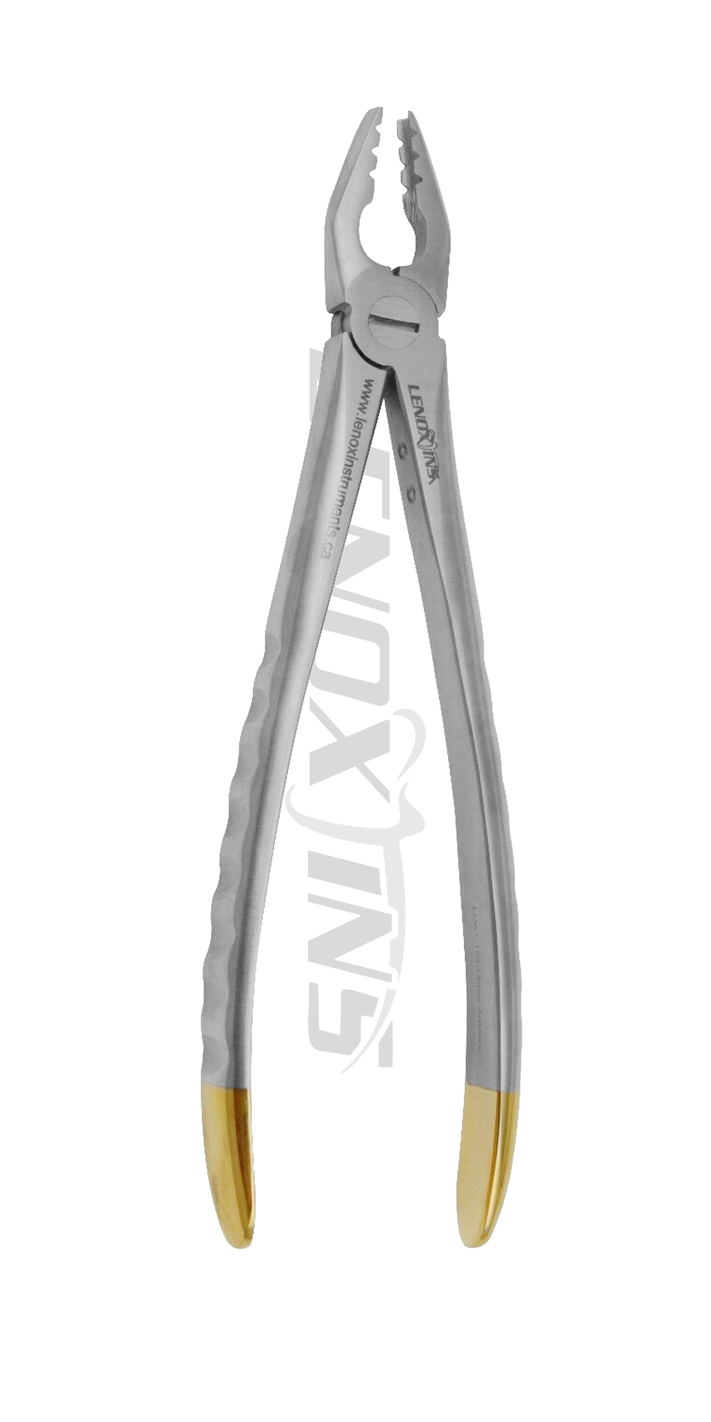 thumbnail image 2 of HTI Diamond Dusted Dental Forceps – Set Of 4 Atraumatic Surgical Extractors, Autoclavable 2 of 2